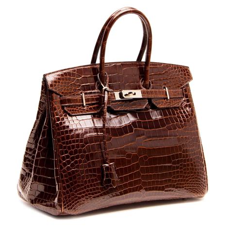 brown croc birkin